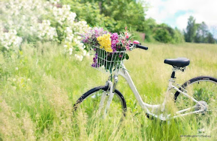 Leve as boas energias da primavera para sua casa