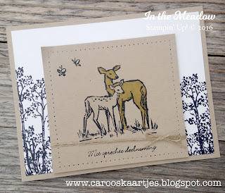 Stampin' Up! producten zijn verkrijgbaar via Caro's Kaartjes: carooskaartjes@hotmail.nl - Meer Stampin' Up! inspiratie: www.carooskaartjes.blogspot.com