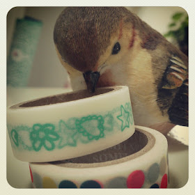 ByHaafner, bird, thrifted, vintage, washing tape, masking tape, 