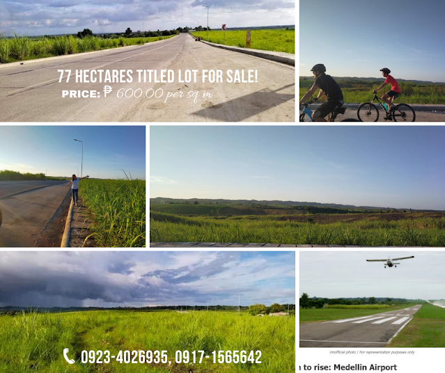 77 Hectares Commercial Lot in Medellin Cebu