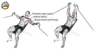 Chest and Back Superset Workout