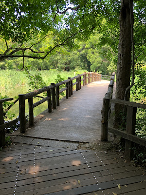石神井公園園内の道