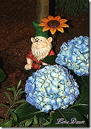 HGS_KissGnome