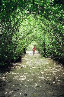 Belize Zoo