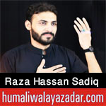 https://aliwalayazadar.blogspot.com/2020/08/raza-hassan-sadiq-nohay-2021.html