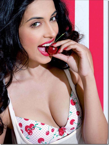 sarah-jane-dias-maxim-india-bollyupdatescom-05