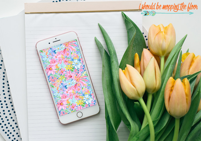 Spring Floral Wallpapers
