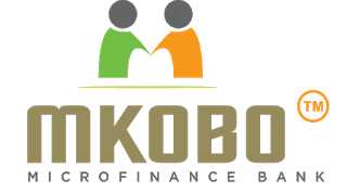 Apply for Backend Developer at Mkobo Microfinance Bank, Lagos