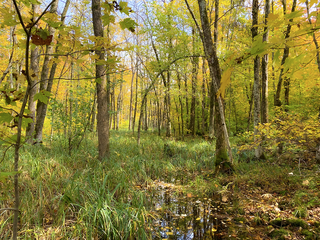 Along the North Country Trail