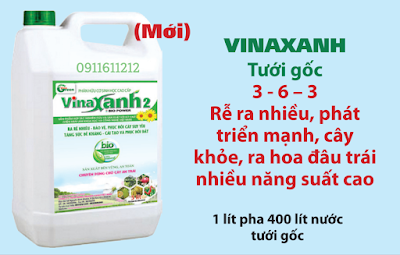 Phân hữu cơ sinh học Vinaxanh 2 tưới gốc 