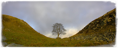 Sycamore Gap - Image © David Toyne