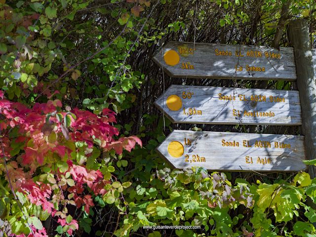 Parque Natural de Izki,  sendero El Agin, por El Guisante Verde Project