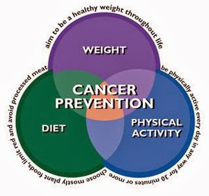 What are the precaution for Cancer