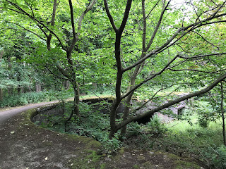 A photo showing the remains of one of the gun emplacements - a semi circle of concrete now overgrown with a tree in the middle.  Photograph taken by Kevin Nosferatu for the Skulferatu Project.