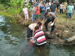 Geger Penemuan Mayat di Nainggolan, Polres Samosir Lakukan Evakuasi dan Penyelidikan