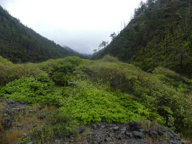 098: clouds down to trees