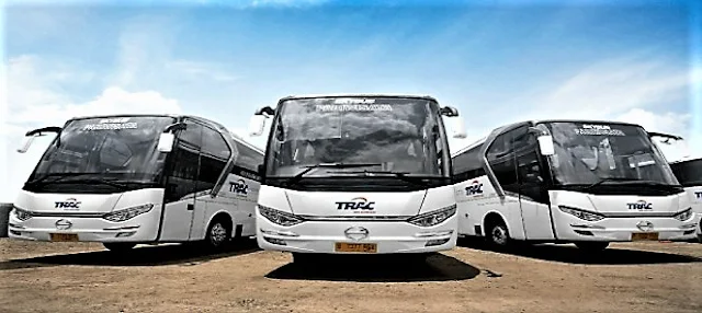 Bus Pariwisata TRAC To Go