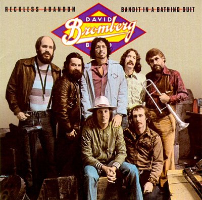 david bromberg band wiki