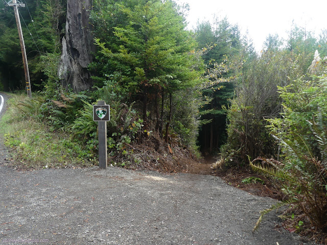 11: new segment of trail and sign