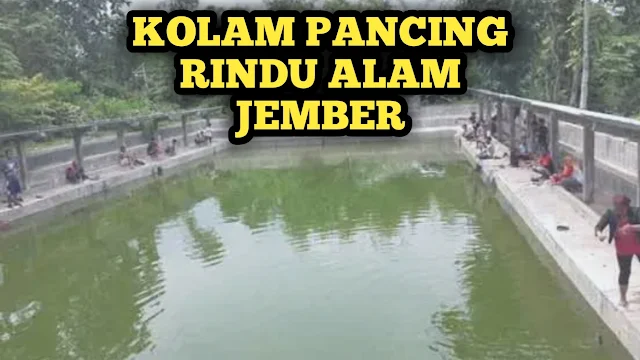 Ikan Kolam Pancing