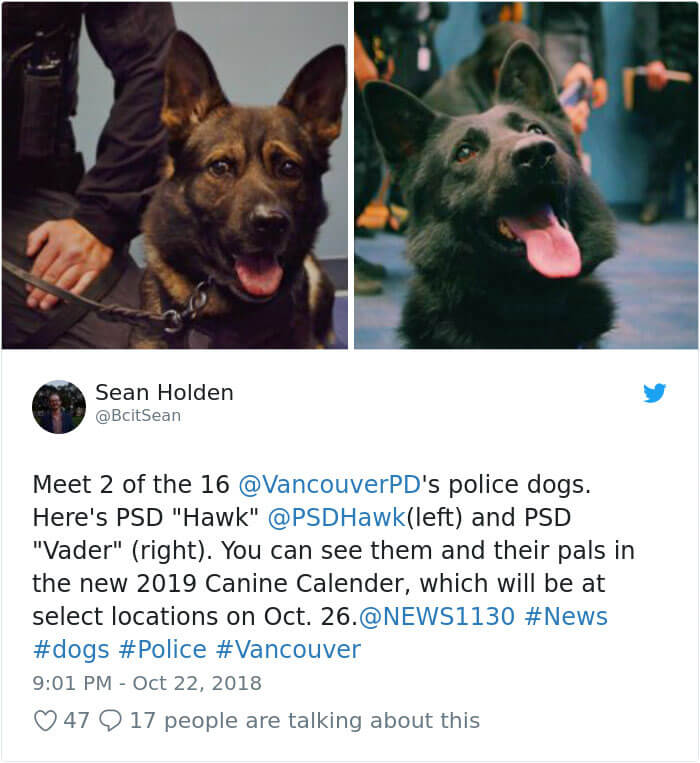 Vancouver Police Canine Unit Released Their 2019 Charity Calendar, And The Photos Are Awesome