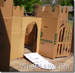 Cardboard Castle
