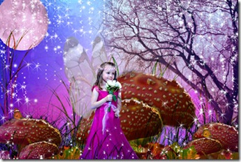 fairy424