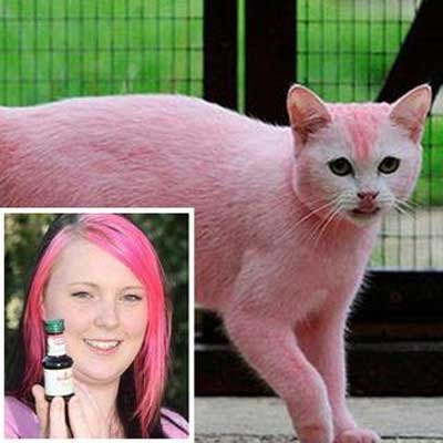 Nothing To Do With Arbroath Woman dyed cat  pink  to match 