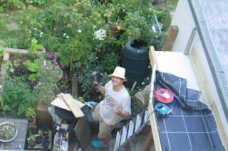 ruscombe green: making a green roof on my shed