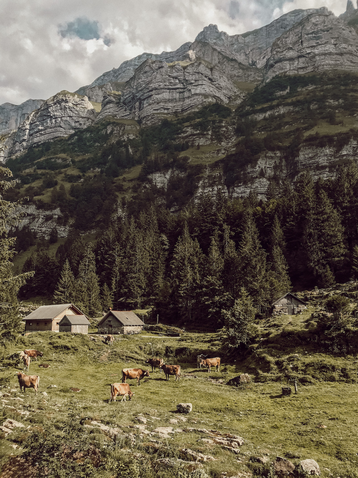 Alpstein Appenzeller Land schönste Wanderung Schweiz Höhenbergweg Äscher Wildkirchli Schäfler Grat Mesmer Seealpsee Aescher