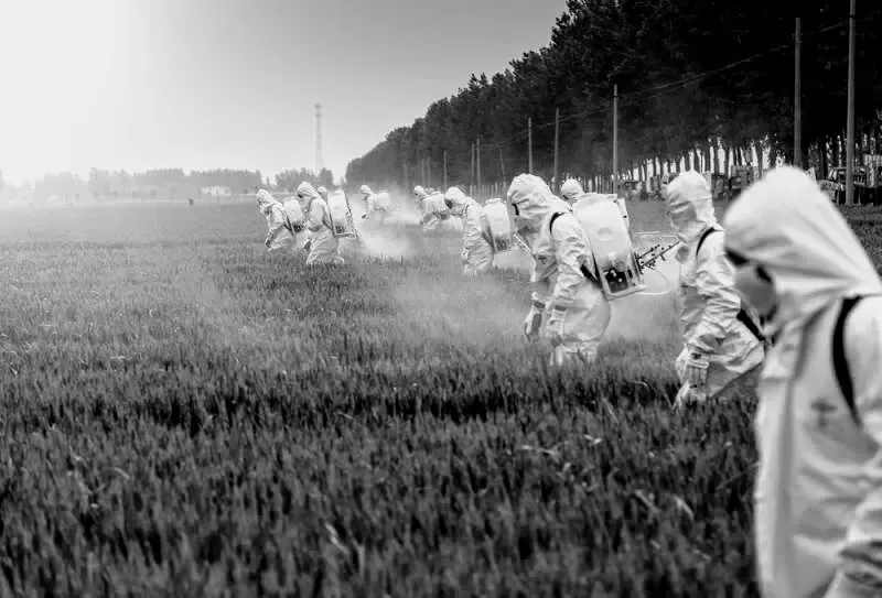 History of chemical herbicides