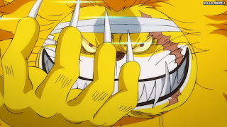 ワンピースアニメ 1032話 ネコマムシ | ONE PIECE Episode 1032