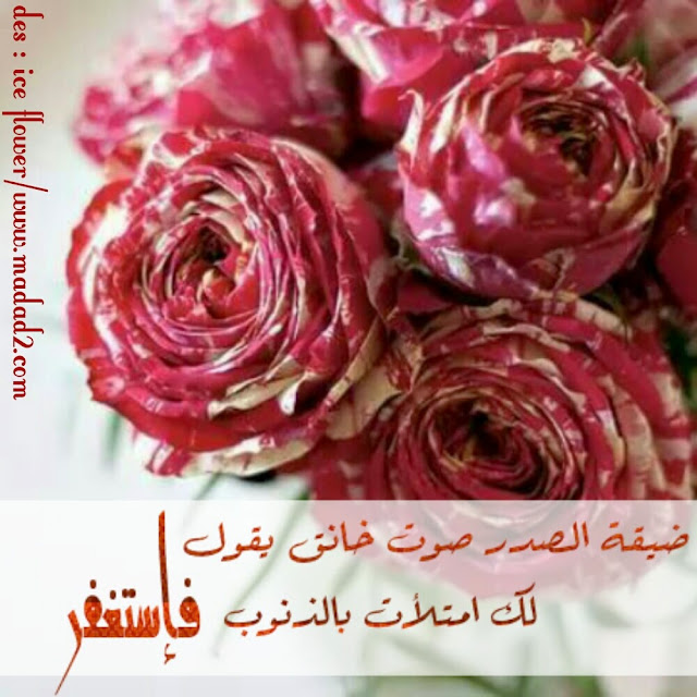 صور حكم وعبارات