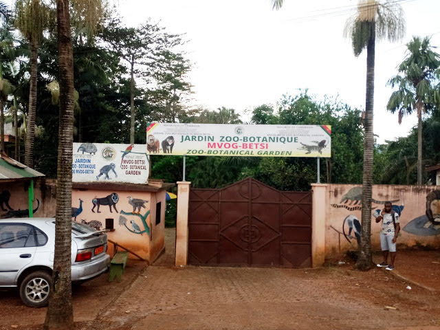 Weekend Tourism | Visit to the Mvog-Betsi Zoo Yaoundé