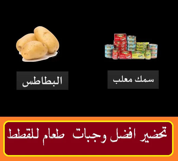 " "اكل قطط","" "اكل قطط بيتي","","","" "اكل قطط صغيرة","","","" "اكل قطط الشوارع","","","" "اكل قطط معلب","","","" "اكل قطط عمر شهر","","","" "اكل قطط عمر شهرين","","","" "اكل قطط للبيع","","","" "اكل قطط رخيص","","","" "أكل قطط الهملايا","","","" "اكل قطط الشارع","","","" "اكل قطط الشيرازي","","","" "اكل قطط اون لاين","","","" "اكل قطط العثيم","","","" "اكل قطط الكويت","","","" "اكل قطط التميمي","","","" "اكل قطط birbo","","","" "اكل القطط birbo","","","" "اكل القطط royal canin","","","" "اكل قطط 3 شهور","","","" "اكل قطط 3 اسابيع","","","" "اكل قطط friskies","","","" "اكل قطط felix","","","" "اكل القطط friskies","","","" "اكل القطط felix","","","" "اكل القطط في المنام","","","" "اكل القطط في البيت","","","" "felicia اكل قطط","","","" "اكل قطط goody","","","" "اكل القطط miglior gatto","","","" "اكل قطط شهر","","","" "اكل قطط منزلي","","","" "اكل القطط kitekat","","","" "keke اكل قطط","","","" "اكل قطط mix","","","" "اكل القطط meow mix","","","" "اكل القطط me-o","","","" "اكل القطط monello","","","" "اكل قطط purina","","","" "اكل قطط reflex","","","" "اكل القطط reflex","","","" "royal اكل قطط","","","" "اكل قطط sheba","","","" "اكل القطط schesir","","","" "اكل القطط whiskas","","","" "اكل قطط مصري","","","" "اكل بيتي للقطط","","","" "اكل بيتي للقطط الصغيرة","","","" "اكل بيت للقطط","","","" "اكل قطط في البيت","","","" "اكل القطط البيتي","","","" "اكل بيتى للقطط","","","" "اكل قطط الصغيرة","","","" "اكل القطط الصغيرة","","","" "اكل القطط الصغيرة عمرها شهر","","","" "اكل القطط الصغيرة شهرين","","","" "اكل للقطط الصغيرة","","","" "اكل القطط الصغيرة الرضيعة","","","" "اكل القطط الصغيرة عمرها شهرين","","","" "اكل القطط الصغيرة عمرها أقل من شهر","","","" "اكل قطط شيرازى صغيرة","","","" "ميجلور اكل قطط","","","" "اكل القطط الشوارع","","","" "اكل القطط الشارع","","","" "افضل اكل قطط الشوارع","","","" "ماهو اكل قطط الشوارع","","","" "طعام قطط الشوارع","","","" "اكل قطط معلبات","","","" "اكل القطط معلبات","","","" "اكل معلب للقطط","","","" "اكل معلبات للقطط","","","" "اكل قطط بسعر الجملة","","","" "طعام قطط معلب","","","" "اكل قطط عمر شهر ونص","","","" "اكل القطط عمر شهرين","","","" "اكل القطط عمر شهر","","","" "اكل للقطط عمر شهرين","","","" "اكل قطط سن شهرين","","","" "اكل القطط سن شهر","","","" "اكل قطط شيرازى عمر شهرين","","","" "طعام قطط عمر شهر","","","" "اكل قطط شهرين","","","" "اكل قطط بعمر شهر","","","" "اكل القطط في عمر شهرين","","","" "افضل اكل للقطط عمر شهرين","","","" "اكل القطط من عمر شهرين","","","" "وصفات اكل للقطط عمر شهرين","","","" "طعام قطط عمر شهرين","","","" "اكل قطط بعمر شهرين","","","" "اكل القطط بعمر شهرين","","","" "طعام القطط عمر شهرين","","","" "اكل قطط للبيع بالرياض","","","" "اكل قطط للبيع الكويت","","","" "اكل القطط للبيع","","","" "اكل قطط سوق كوم","","","" "اكل قطط شيرازى","","","" "اكل للقطط رخيص","","","" "اكل القطط رخيص","","","" "بيع اكل قطط رخيص","","","" "طعام قطط رخيص","","",""