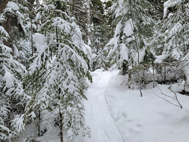 Sentier sur le mont Barrière