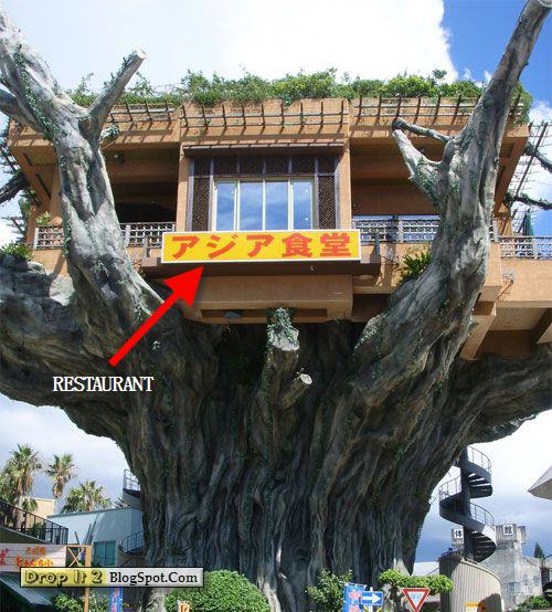 the-naha-harbor-diner-in-okinawa tree house restourent.jpg