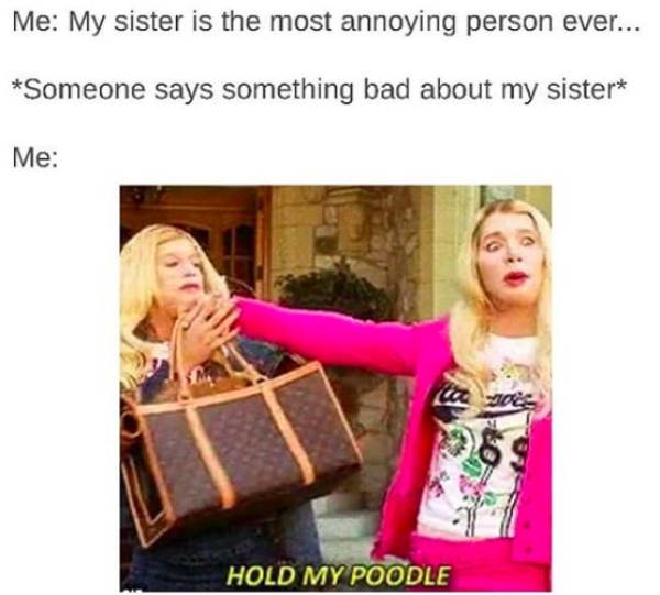 
Hilarious Memes That Describe The Relation Between Sisters. (29 Pics)