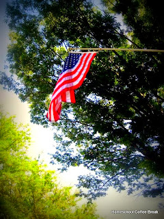 Flag Day 2016 on Homeschool Coffee Break @ kympossibleblog.blogspot.com