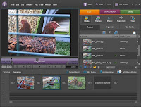 Adobe Premiere Elements 4 pour Windows.