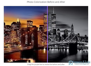 Colorize Photos