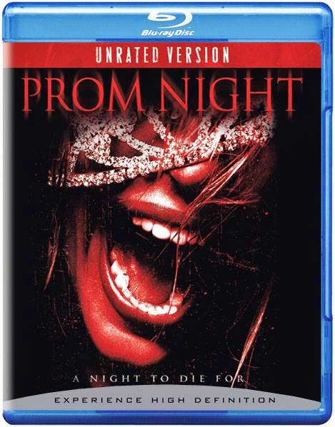 Prom Night (2008) [Dual Audio] [Hindi Eng] BRRip 480p 300MB Poster