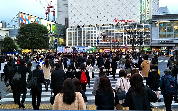Shibuya Crossing Picture