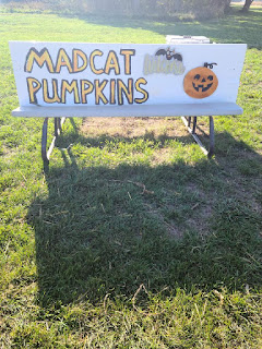 a white sign has orange painted letters that say "MADCAT PUMPKINS" and a painted bat and pumpkin also on the sign