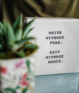 Potted succulent beside a tile printed with the words "Write without fear. Edit without mercy."