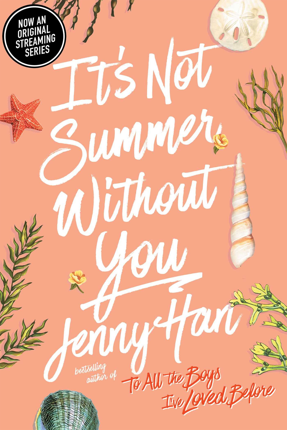 It's Not Summer Without You by Jenny Han