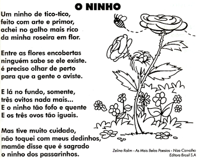 texto-o-ninho-de-zalina-rolim.png