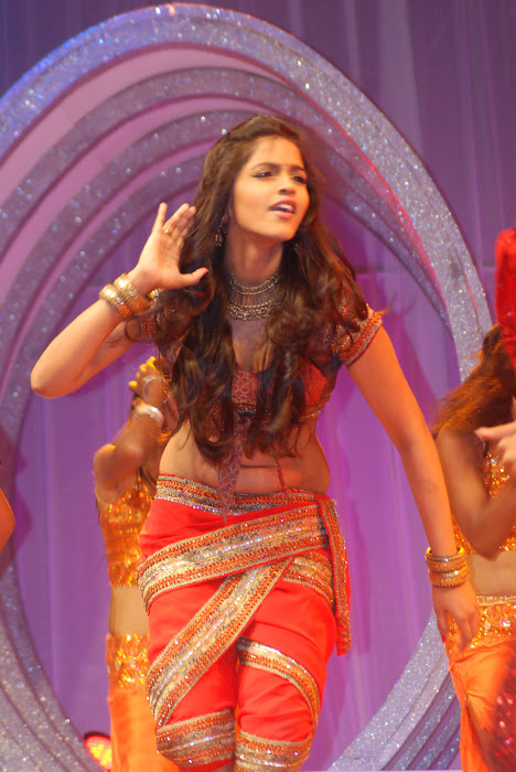 dhansika performance at big salute to women entertainers awards latest photos