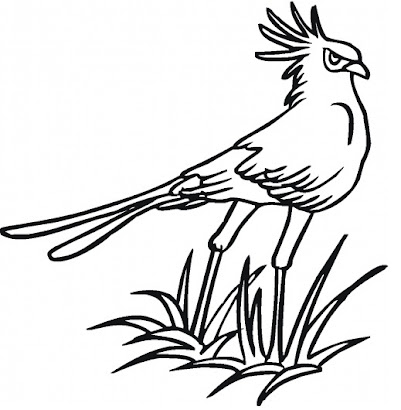 Download Kids Page: Birds Coloring Pages | Printable Birds Coloring Picture Worksheets