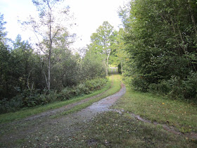 Climbing My Family Tree: Looking back at the road I drove in on to the County Road